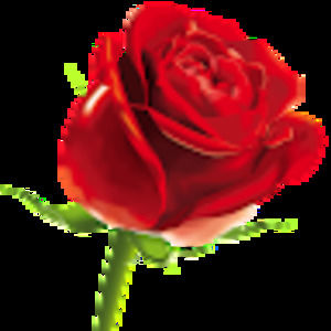 Meet your Posher, Chetna